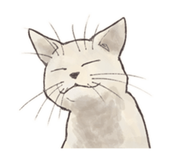 My most pretty cat sticker #5433177