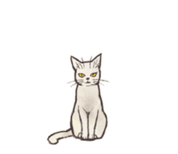 My most pretty cat sticker #5433179