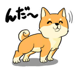 DOGS(JAPAN YAMAGATA SHONAI accent) sticker #5434700