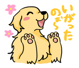 DOGS(JAPAN YAMAGATA SHONAI accent) sticker #5434702