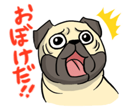 DOGS(JAPAN YAMAGATA SHONAI accent) sticker #5434707