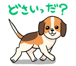 DOGS(JAPAN YAMAGATA SHONAI accent) sticker #5434714