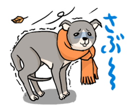 DOGS(JAPAN YAMAGATA SHONAI accent) sticker #5434720