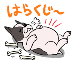 DOGS(JAPAN YAMAGATA SHONAI accent) sticker #5434726