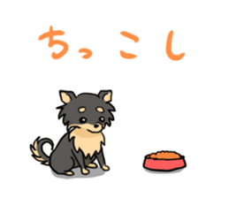 DOGS(JAPAN YAMAGATA SHONAI accent) sticker #5434729