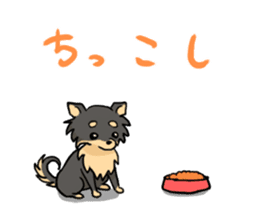 DOGS(JAPAN YAMAGATA SHONAI accent) sticker #5434729