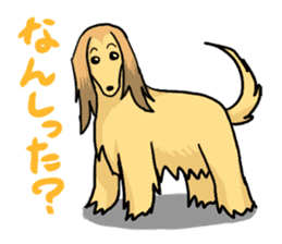 DOGS(JAPAN YAMAGATA SHONAI accent) sticker #5434736