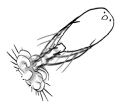 NO BIRD, NO LIFE 2 sticker #5437079