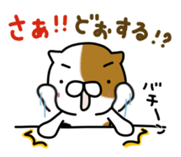 Torakichi's fun every day 2 sticker #5437903