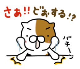 Torakichi's fun every day 2 sticker #5437903