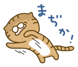 Torakichi's fun every day 2 sticker #5437913