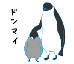 Penguin parent and child sticker #5438870