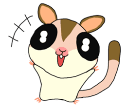 lovely SUGAR GLIDER sticker #5441061