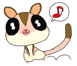 lovely SUGAR GLIDER sticker #5441065