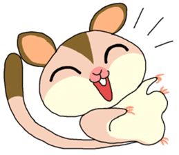 lovely SUGAR GLIDER sticker #5441066