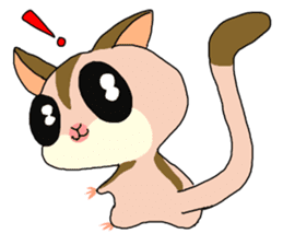 lovely SUGAR GLIDER sticker #5441067