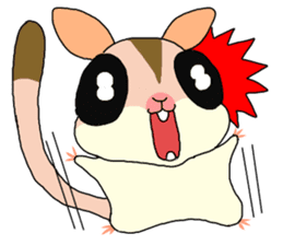 lovely SUGAR GLIDER sticker #5441068