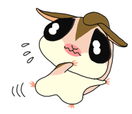 lovely SUGAR GLIDER sticker #5441069