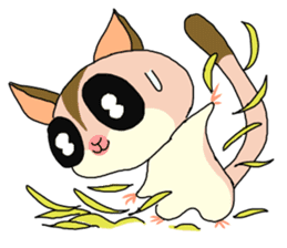 lovely SUGAR GLIDER sticker #5441070