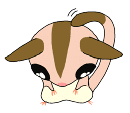 lovely SUGAR GLIDER sticker #5441071