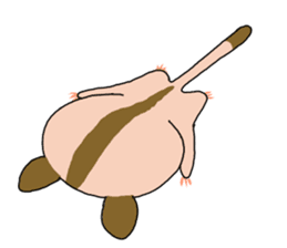 lovely SUGAR GLIDER sticker #5441072