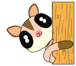 lovely SUGAR GLIDER sticker #5441073