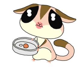 lovely SUGAR GLIDER sticker #5441075