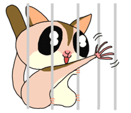 lovely SUGAR GLIDER sticker #5441076