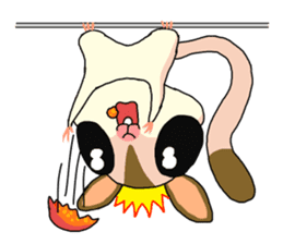 lovely SUGAR GLIDER sticker #5441078