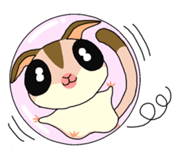lovely SUGAR GLIDER sticker #5441079