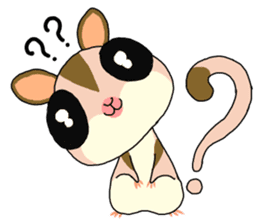 lovely SUGAR GLIDER sticker #5441083
