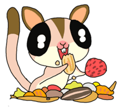 lovely SUGAR GLIDER sticker #5441086