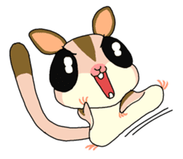 lovely SUGAR GLIDER sticker #5441089