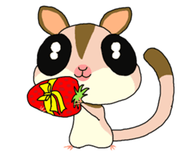 lovely SUGAR GLIDER sticker #5441092