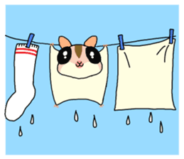 lovely SUGAR GLIDER sticker #5441093