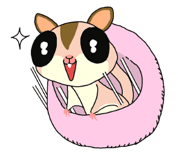 lovely SUGAR GLIDER sticker #5441095