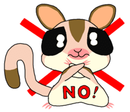 lovely SUGAR GLIDER sticker #5441097