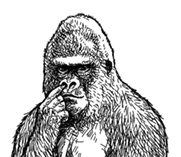 Gorilla gorilla gorilla 2 sticker #5441269