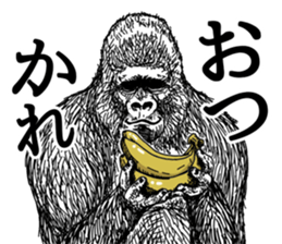 Gorilla gorilla gorilla 2 sticker #5441271