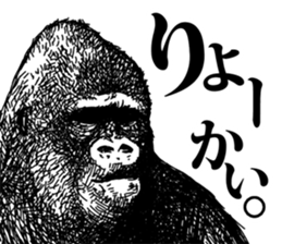 Gorilla gorilla gorilla 2 sticker #5441272