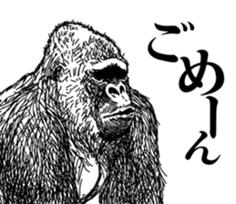 Gorilla gorilla gorilla 2 sticker #5441276