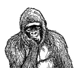 Gorilla gorilla gorilla 2 sticker #5441277