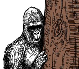 Gorilla gorilla gorilla 2 sticker #5441279