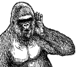 Gorilla gorilla gorilla 2 sticker #5441280