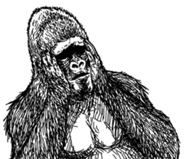 Gorilla gorilla gorilla 2 sticker #5441283