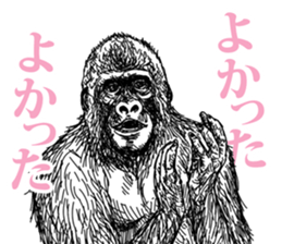 Gorilla gorilla gorilla 2 sticker #5441286