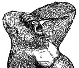 Gorilla gorilla gorilla 2 sticker #5441287