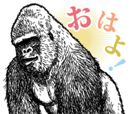 Gorilla gorilla gorilla 2 sticker #5441288