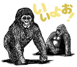 Gorilla gorilla gorilla 2 sticker #5441289