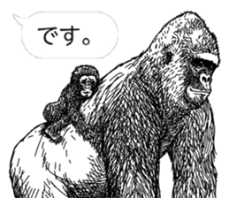 Gorilla gorilla gorilla 2 sticker #5441293